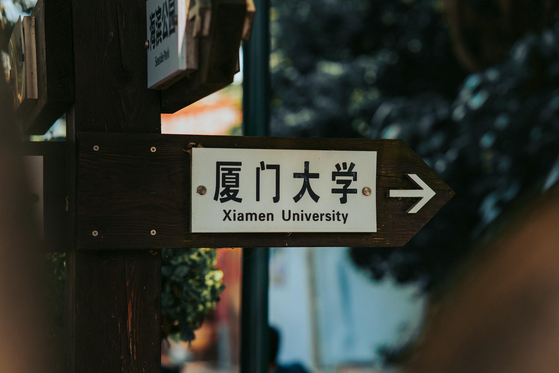 新西兰, 毕业后工签, 2026, 工签时长, 国际学生, 留学工作